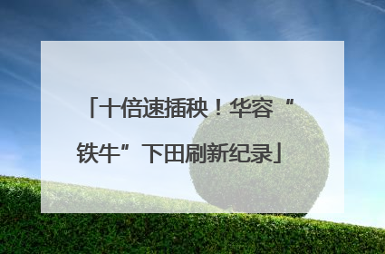 十倍速插秧！华容“铁牛”下田刷新纪录