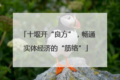 十堰开“良方”，畅通实体经济的“筋络”
