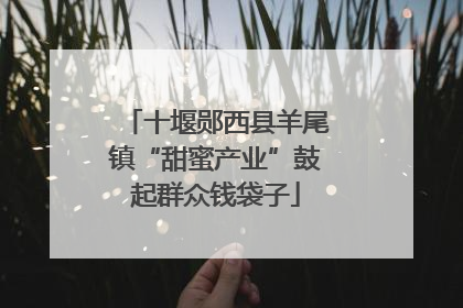 十堰郧西县羊尾镇“甜蜜产业”鼓起群众钱袋子
