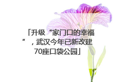 升级“家门口的幸福”，武汉今年已新改建70座口袋公园