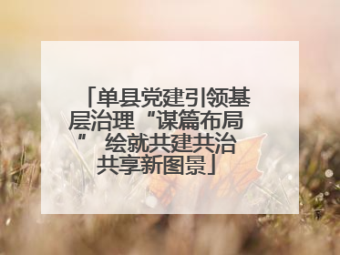 单县党建引领基层治理“谋篇布局” 绘就共建共治共享新图景