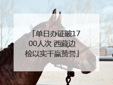单日办证破1700人次 西藏边检以实干赢赞誉