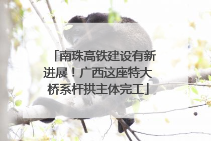 南珠高铁建设有新进展！广西这座特大桥系杆拱主体完工