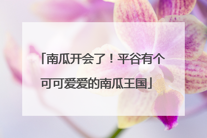南瓜开会了！平谷有个可可爱爱的南瓜王国