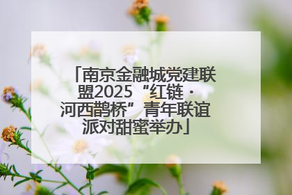 南京金融城党建联盟2025“红链・河西鹊桥”青年联谊派对甜蜜举办