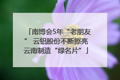 南博会5年“老朋友” 云铝股份不断擦亮云南制造“绿名片”