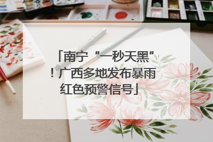 南宁“一秒天黑”！广西多地发布暴雨红色预警信号