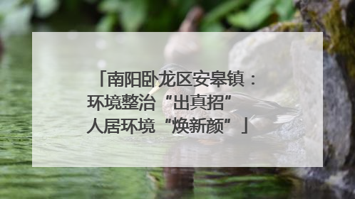 南阳卧龙区安皋镇：环境整治“出真招” 人居环境“焕新颜”