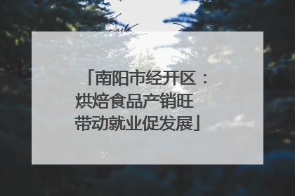 南阳市经开区：烘焙食品产销旺 带动就业促发展