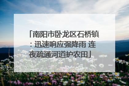 南阳市卧龙区石桥镇：迅速响应强降雨 连夜疏通河道护农田