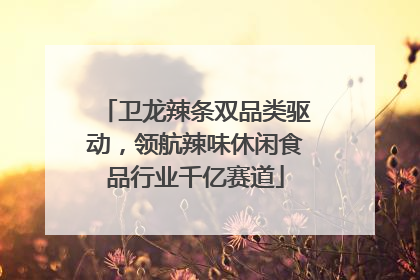卫龙辣条双品类驱动，领航辣味休闲食品行业千亿赛道