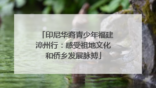 印尼华裔青少年福建漳州行：感受祖地文化和侨乡发展脉搏