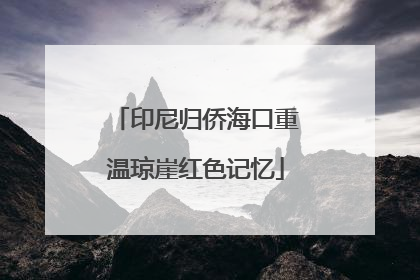 印尼归侨海口重温琼崖红色记忆