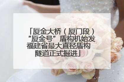 厦金大桥（厦门段）“厦金号”盾构机始发 福建省最大直径盾构隧道正式掘进