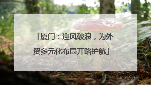 厦门：迎风破浪，为外贸多元化布局开路护航