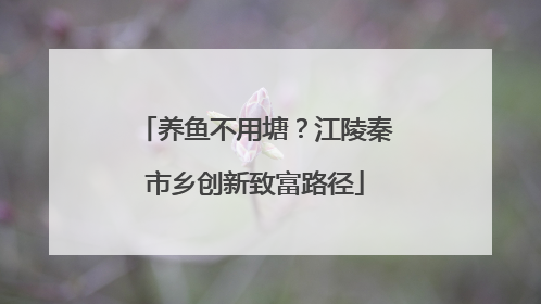 养鱼不用塘？江陵秦市乡创新致富路径