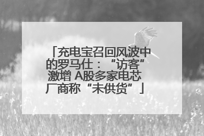 充电宝召回风波中的罗马仕：“访客”激增 A股多家电芯厂商称“未供货”