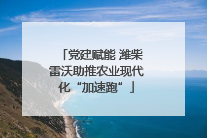 党建赋能 潍柴雷沃助推农业现代化“加速跑”