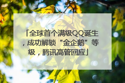 全球首个满级QQ诞生，成功解锁“金企鹅”等级，腾讯高管回应