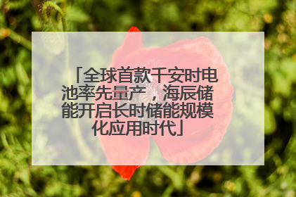 全球首款千安时电池率先量产，海辰储能开启长时储能规模化应用时代