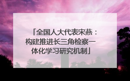 全国人大代表宋燕：构建推进长三角检察一体化学习研究机制