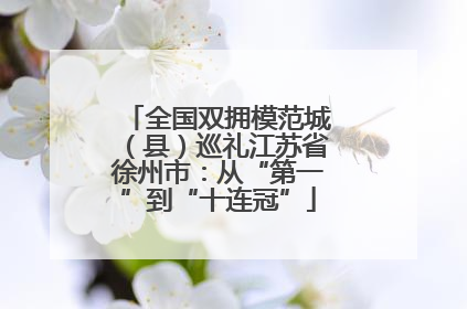 全国双拥模范城（县）巡礼江苏省徐州市：从“第一”到“十连冠”