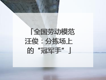 全国劳动模范汪俊：分拣场上的“冠军手”