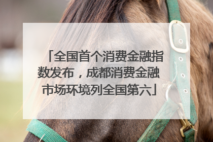 全国首个消费金融指数发布，成都消费金融市场环境列全国第六