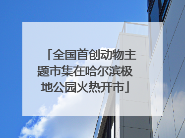 全国首创动物主题市集在哈尔滨极地公园火热开市