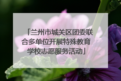 兰州市城关区团委联合多单位开展特殊教育学校志愿服务活动