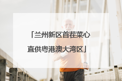 兰州新区首茬菜心直供粤港澳大湾区