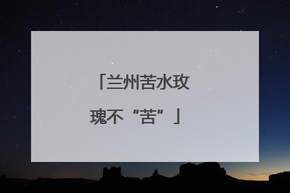 兰州苦水玫瑰不“苦”
