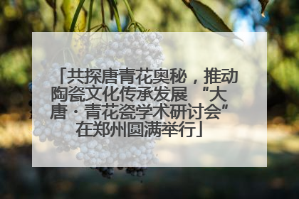 共探唐青花奥秘，推动陶瓷文化传承发展 “大唐・青花瓷学术研讨会”在郑州圆满举行
