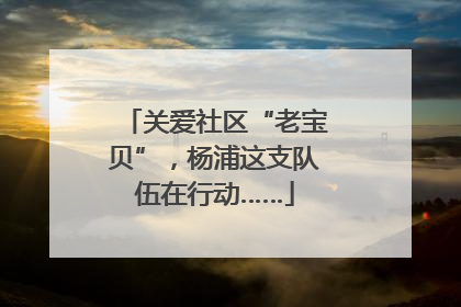 关爱社区“老宝贝”，杨浦这支队伍在行动……