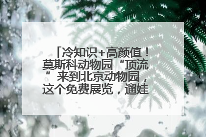 冷知识+高颜值！莫斯科动物园“顶流”来到北京动物园，这个免费展览，遛娃拍照两不误！
