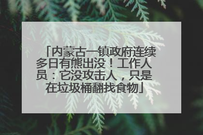 内蒙古一镇政府连续多日有熊出没！工作人员：它没攻击人，只是在垃圾桶翻找食物