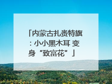 内蒙古扎赉特旗：小小黑木耳 变身“致富花”