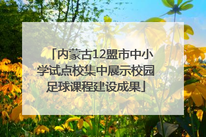 内蒙古12盟市中小学试点校集中展示校园足球课程建设成果
