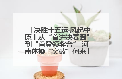 决胜十五运·风起中原丨从“首进决赛圈”到“首登领奖台” 河南体操“突破”何来