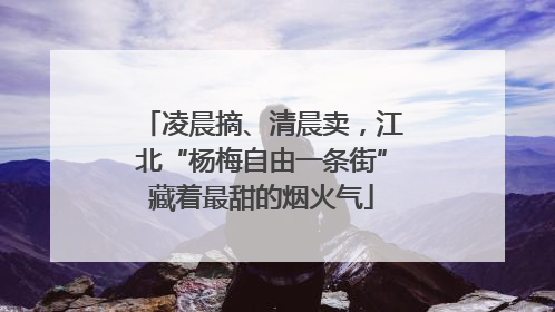 凌晨摘、清晨卖，江北“杨梅自由一条街”藏着最甜的烟火气