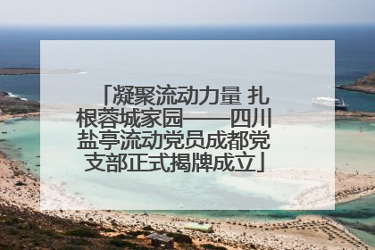 凝聚流动力量 扎根蓉城家园——四川盐亭流动党员成都党支部正式揭牌成立