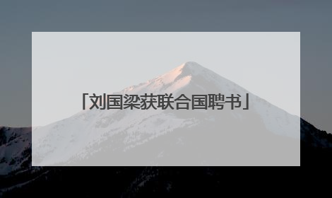 刘国梁获联合国聘书