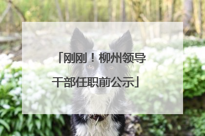 刚刚！柳州领导干部任职前公示