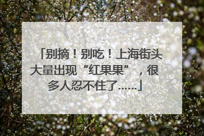 别摘！别吃！上海街头大量出现“红果果”，很多人忍不住了……
