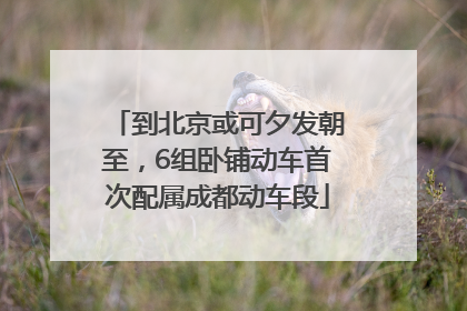 到北京或可夕发朝至，6组卧铺动车首次配属成都动车段