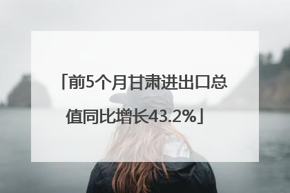 前5个月甘肃进出口总值同比增长43.2%