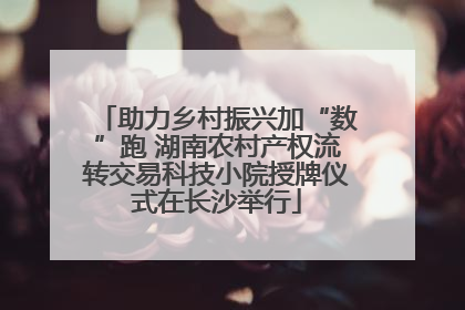 助力乡村振兴加“数”跑 湖南农村产权流转交易科技小院授牌仪式在长沙举行