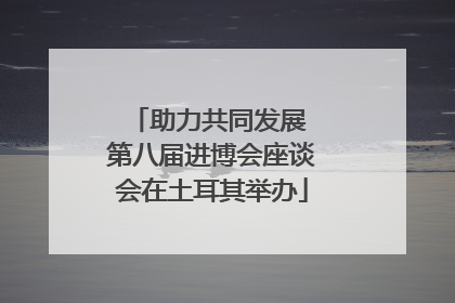助力共同发展 第八届进博会座谈会在土耳其举办