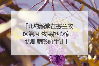 北约频繁在芬兰牧区演习 牧民担心惊扰驯鹿影响生计
