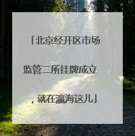北京经开区市场监管二所挂牌成立，就在瀛海这儿